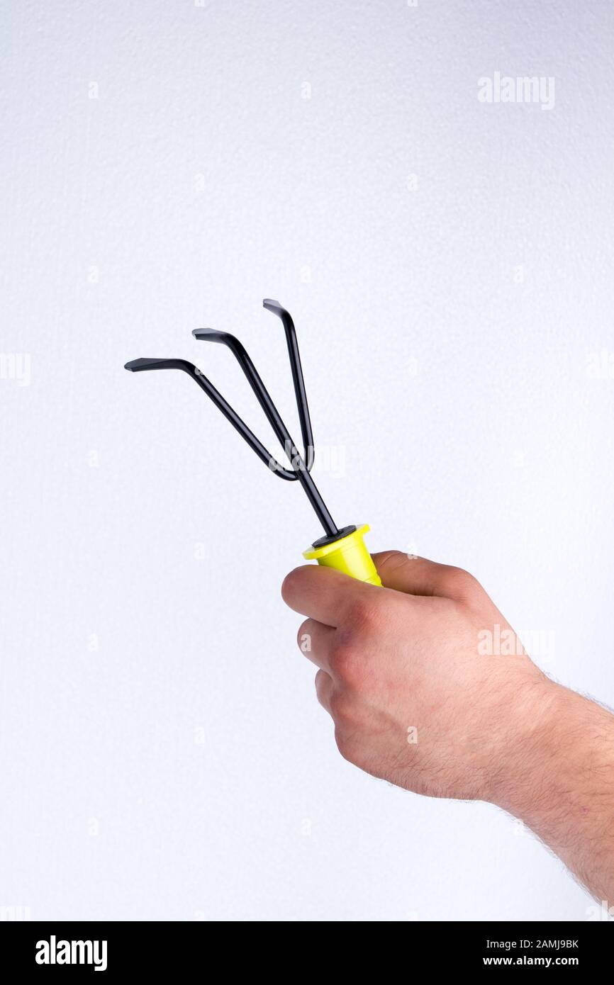 Kleine Dreikiefer-Gartenrake. Stockfoto