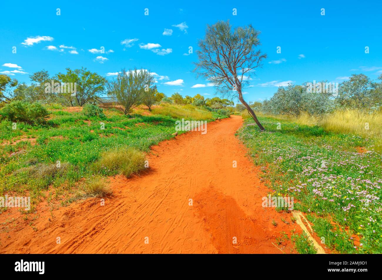 Pfad auf rotem Sand mit trockener Vegetation im Desert Park in Alice Springs in der Nähe der MacDonnell Ranges im Northern Territory, Zentralaustralien. Lebendig Stockfoto