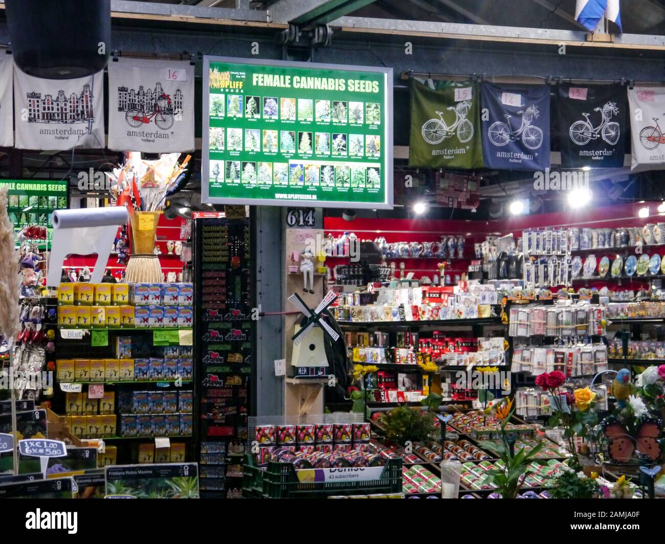 Marihuana-Samen in einem Geschäft in Amsterdam, Niederlande, erhältlich Stockfoto