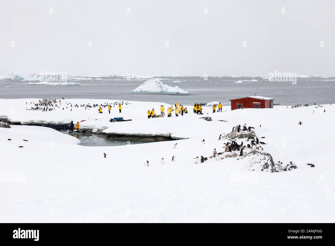 Peterman Island, Antarktische Halbinsel, Antarktis Stockfoto