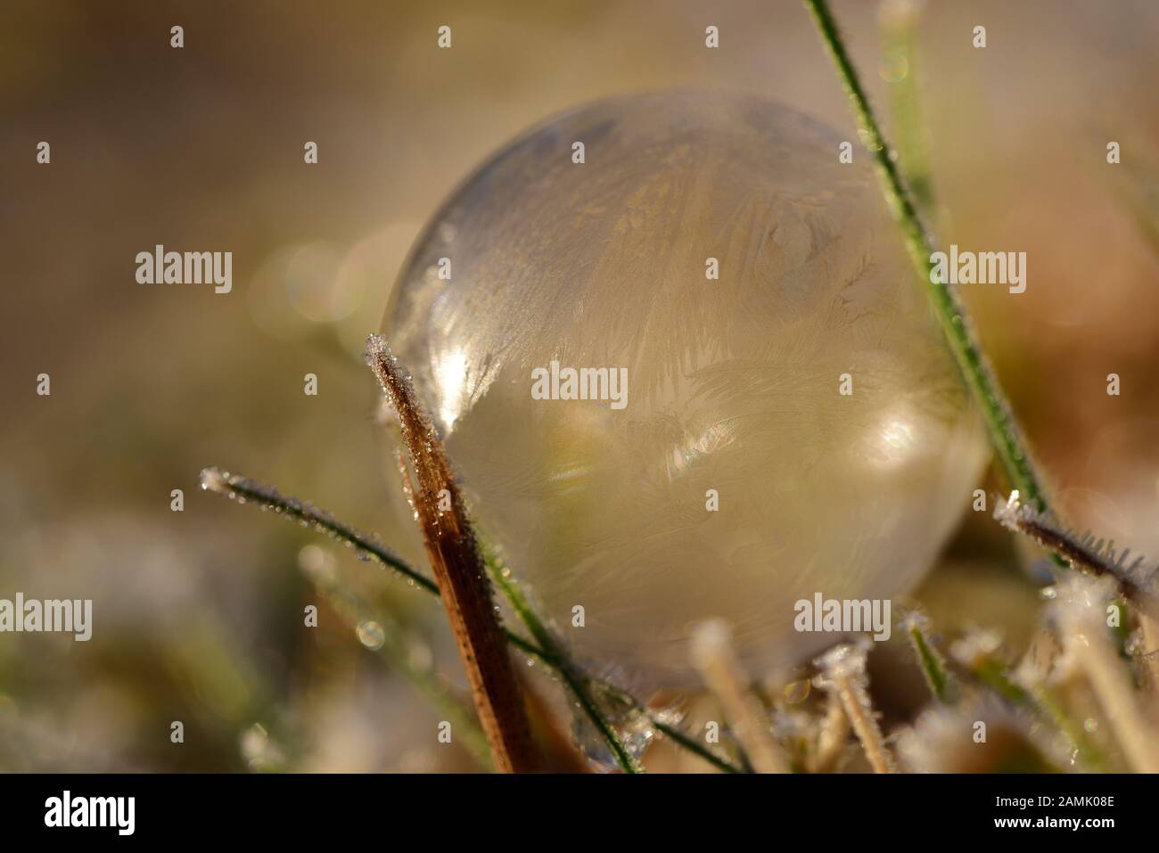 Hintergrund mit einer romantischen Seifenblase in hellem Sonnenlicht, auf der die Lichtstrahlen mit Platz für Text reflektiert werden Stockfoto