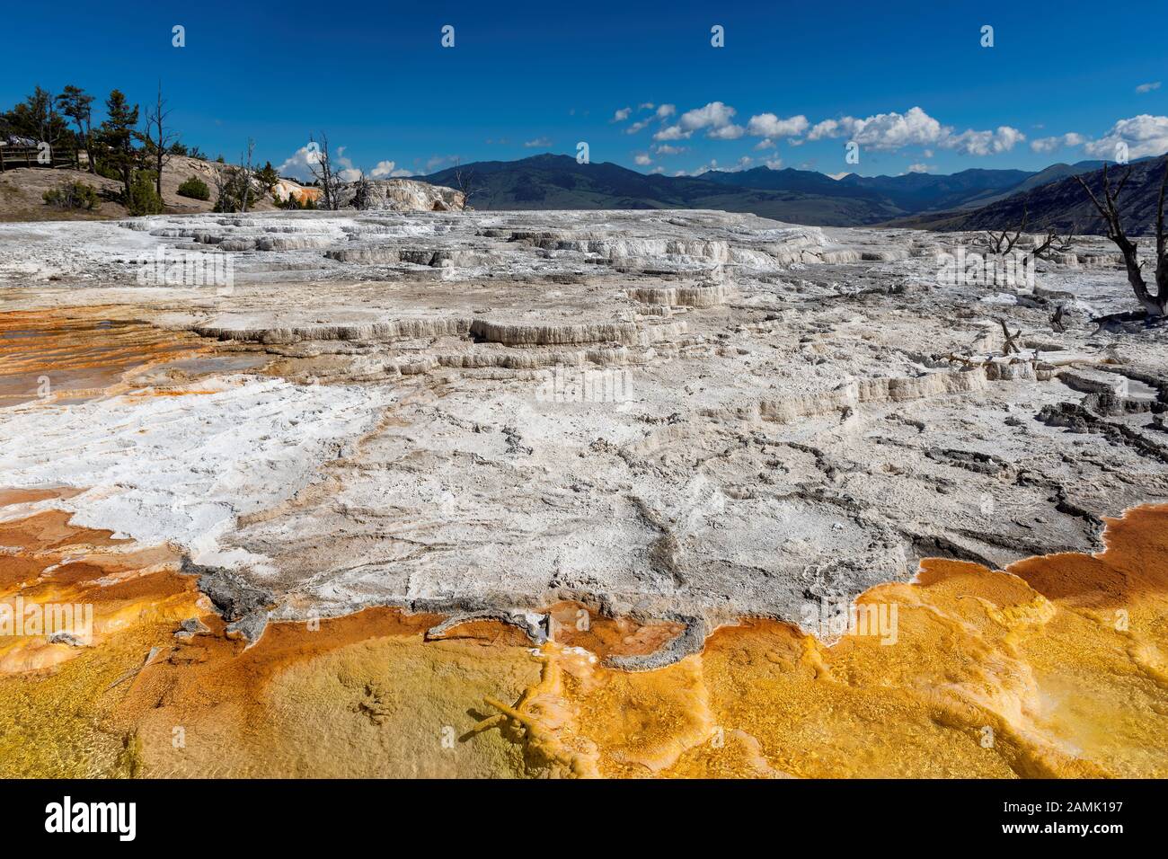 Yellowstone-Nationalpark Stockfoto