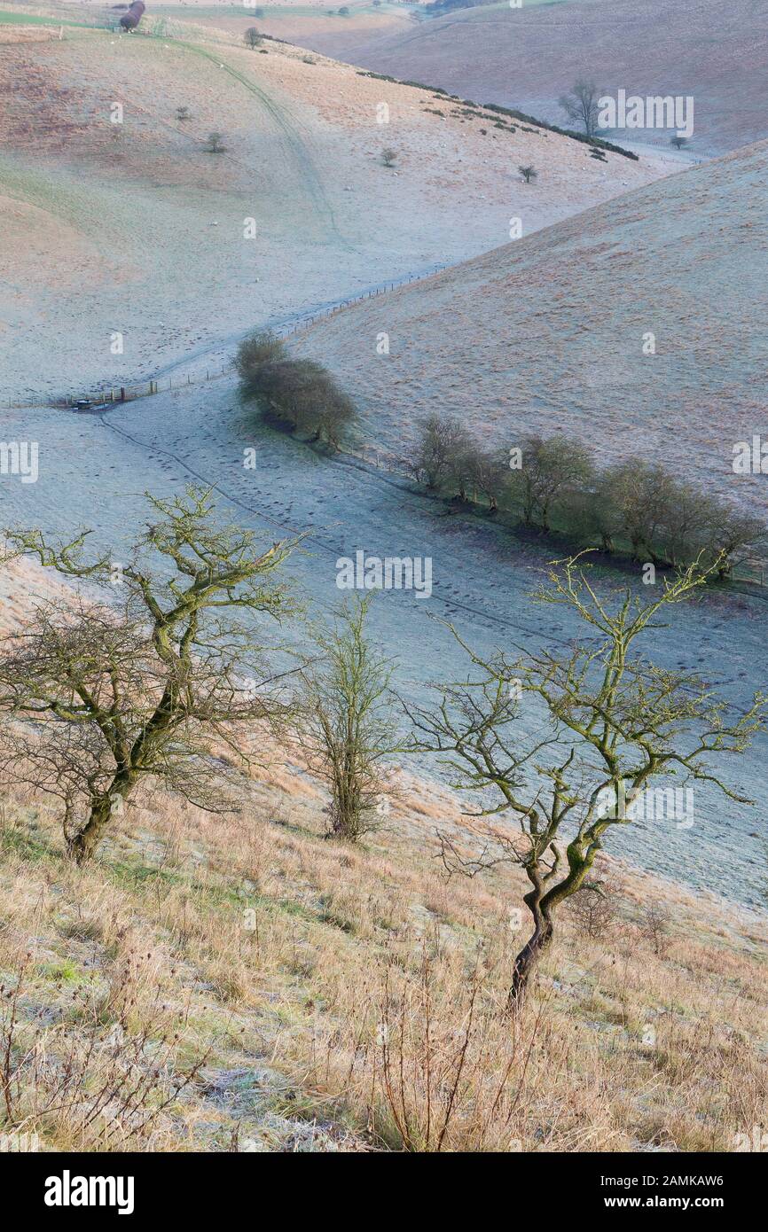 Yorkshire Wolds trockene Kreide Dale Stockfoto