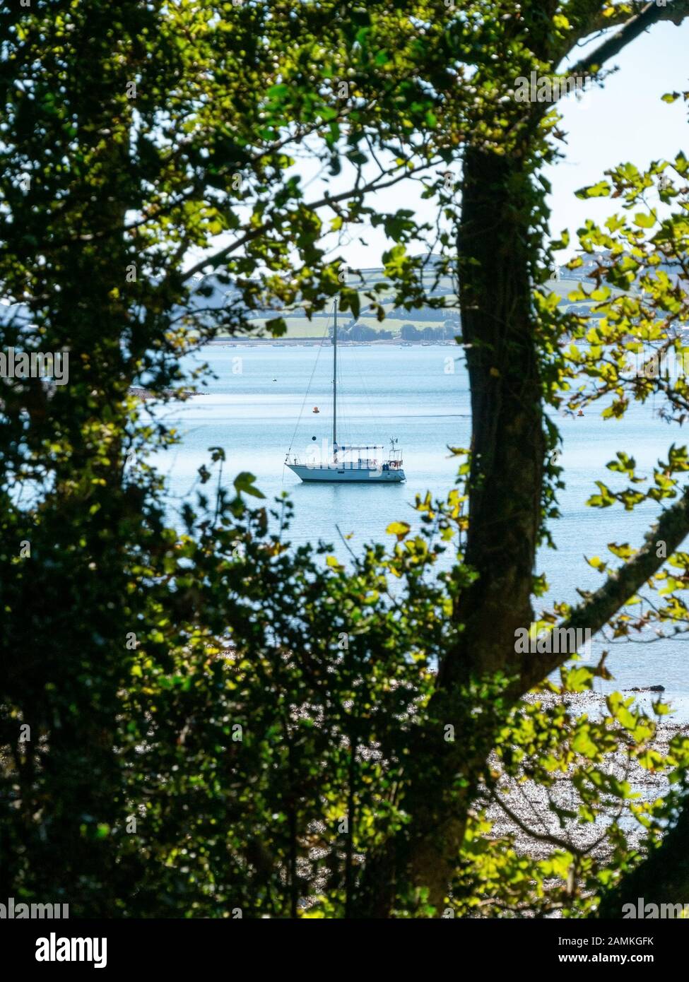 Blick Blick durch Wald Bäume von Yacht in den Gewässern der Fal Estuary im September günstig, Cornwall, England, Großbritannien Stockfoto