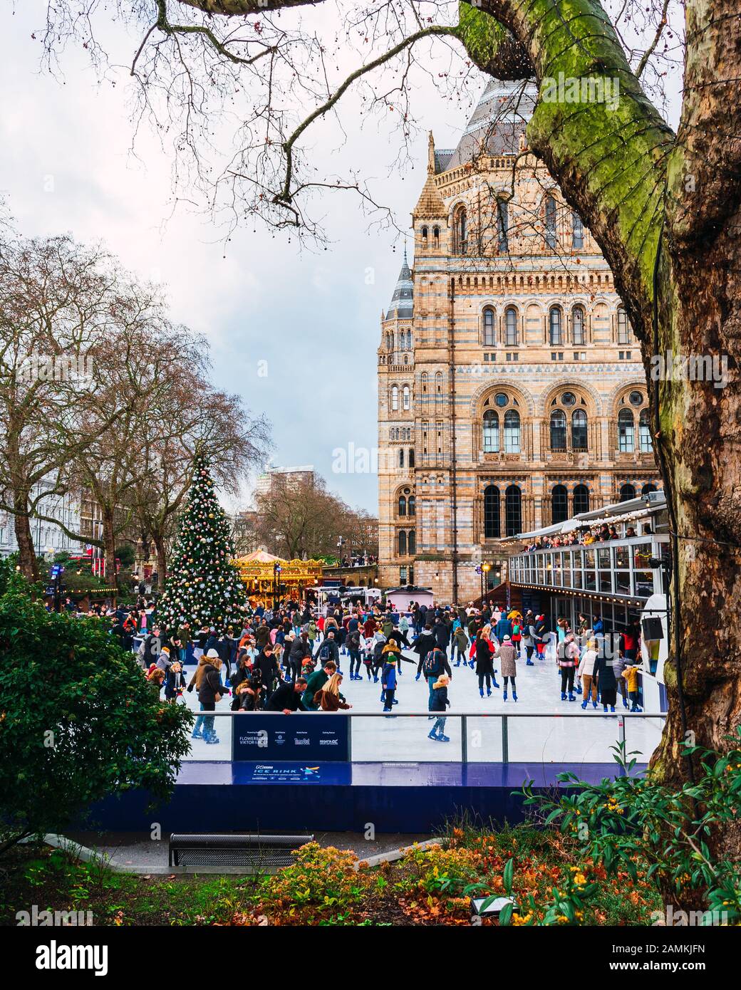 London, Großbritannien/Europa; 21/12/2019: Eisbahn und Weihnachtsbaum im Natural History Museum in London. Menschen, die an Weihnachten Schlittschuhlaufen genießen, vor o Stockfoto
