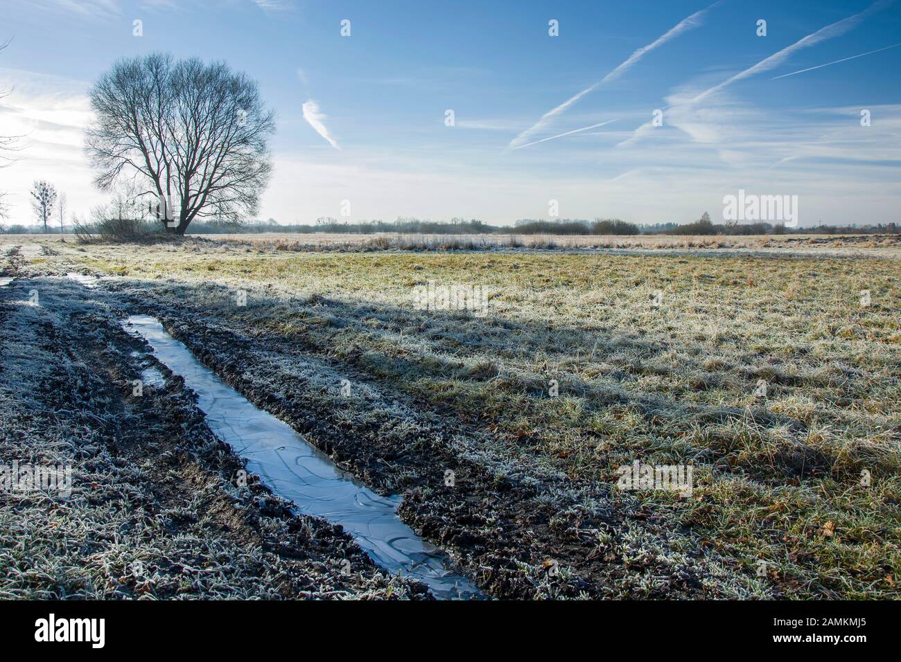 Eine gefrorene Feldstraße durch Wiese, Baum und blauen Himmel in Nowiny, Polen Stockfoto