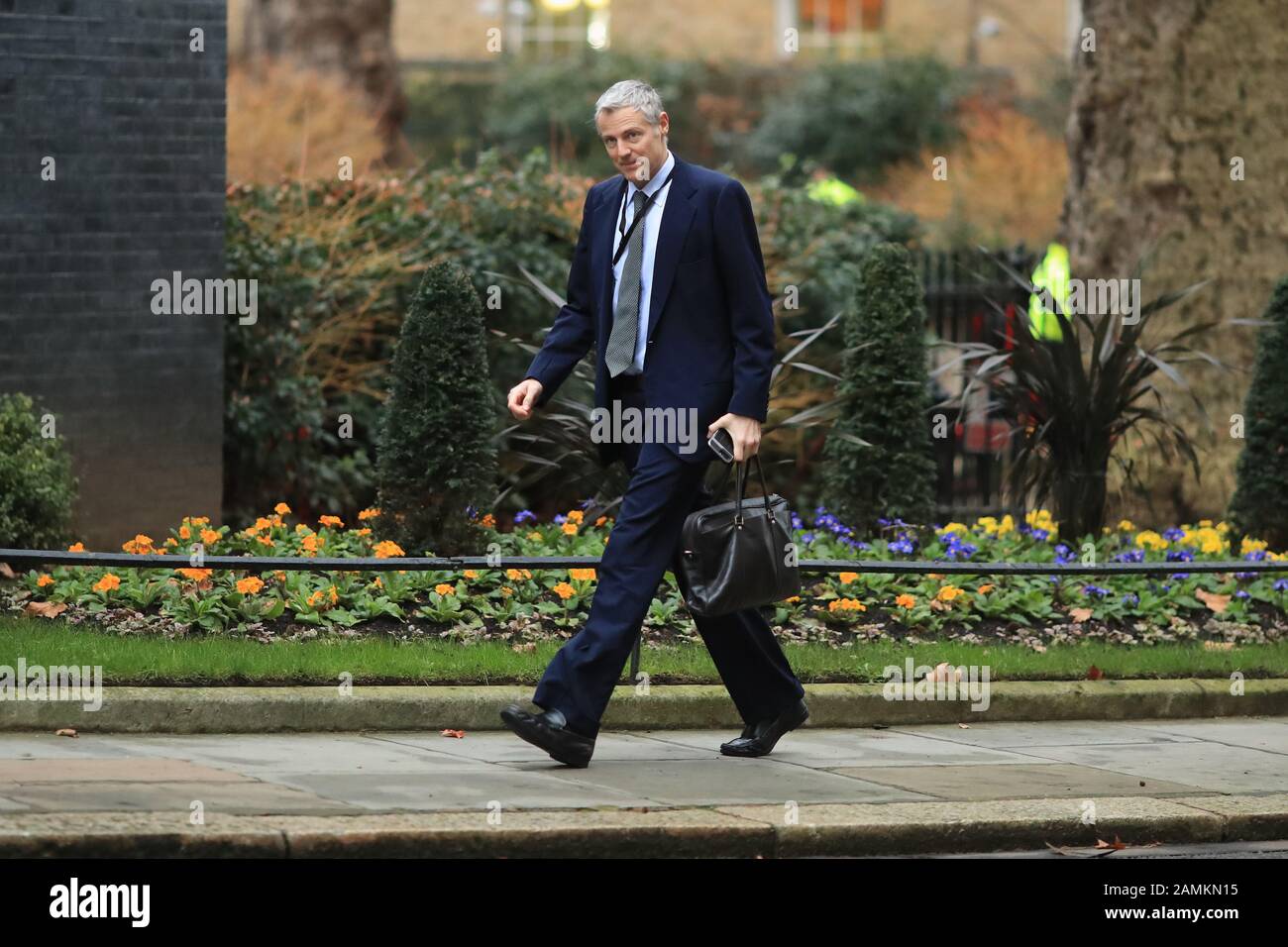 Umweltminister Zac Goldsmith kommt zu einem Kabinettstreffen in der Downing Street, London. Stockfoto