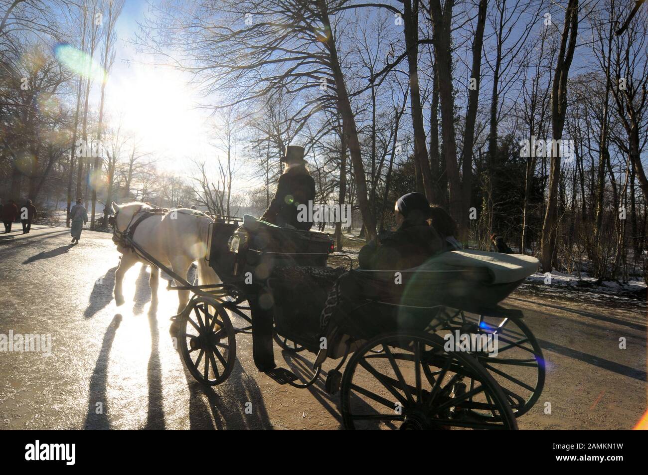 English Horse And Carriage Stockfotos English Horse And Carriage