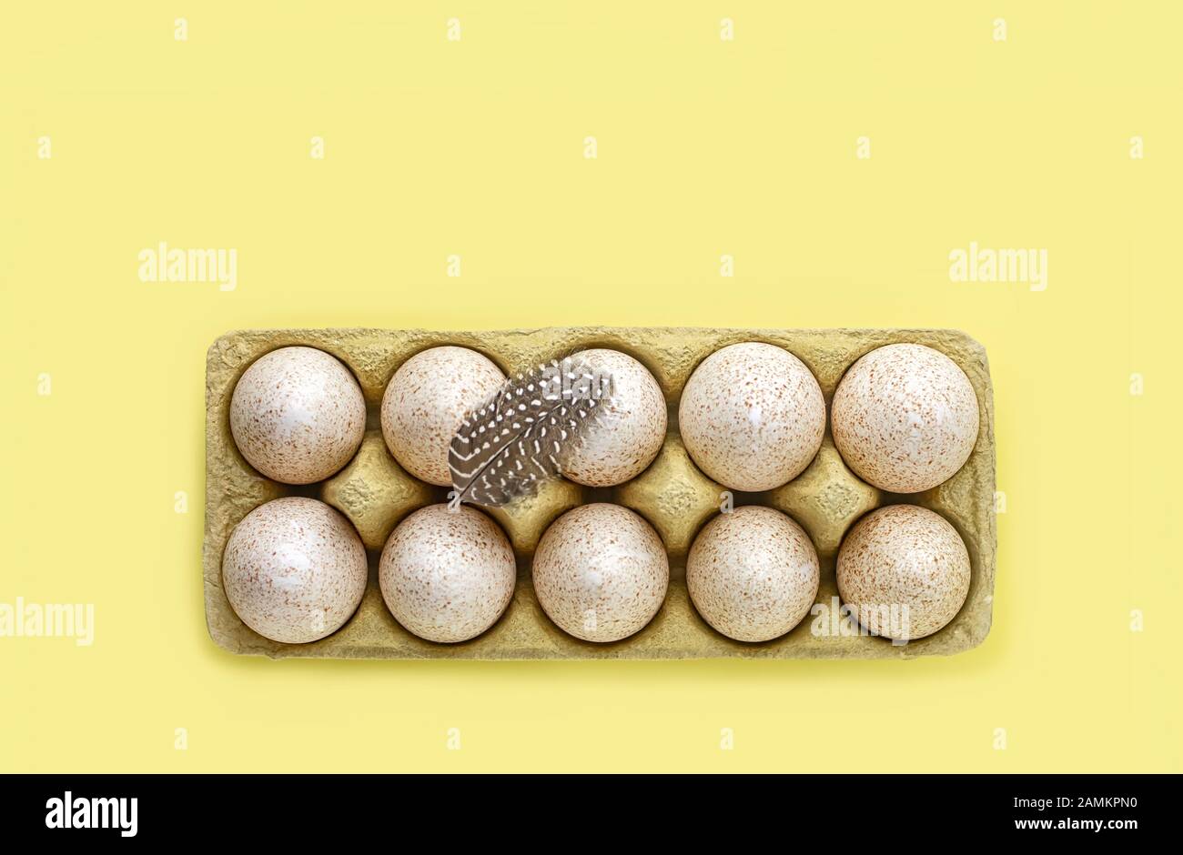 Zehn puten-eier in einem Tablett auf gelbem Hintergrund. Minimalistischer Stil. Flaches Lay. Stockfoto