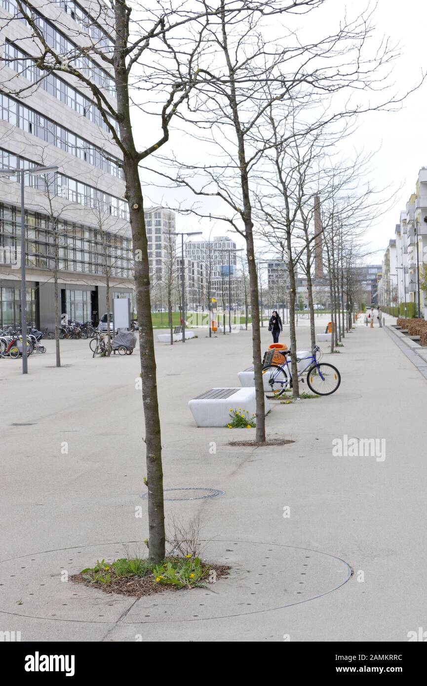 Kranke Bäume am Klaus-Mann-Platz im Münchner Arnulfpark. [Automatisierte Übersetzung] Stockfoto