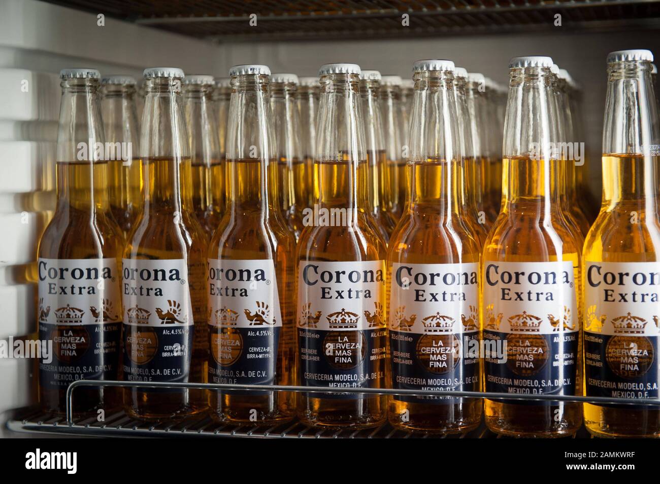 Kühlschrank mit "Corona"-Bierflaschen in der mexikanischen Imbissbar  "Condesa Burritos" in der Münchner Freiheit 6. [Automatisierte Übersetzung]  Stockfotografie - Alamy