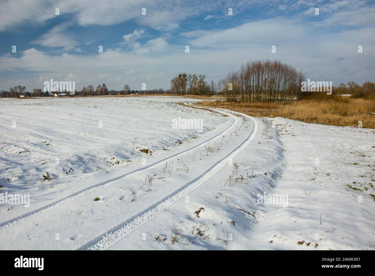Spuren von Rädern auf verschneiten Schmutzwegen, Bäumen und Wolken am blauen Himmel Stockfoto