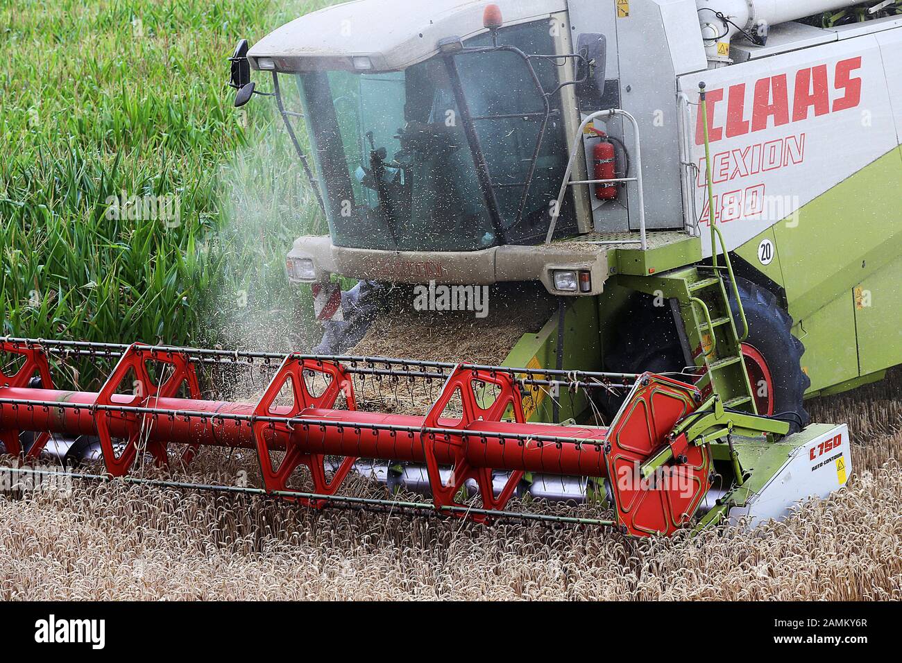 Ein Mähdrescher während der Weizenernte auf den Feldern bei Schinderkreppe in Dachau-Gebiet. [Automatisierte Übersetzung] Stockfoto