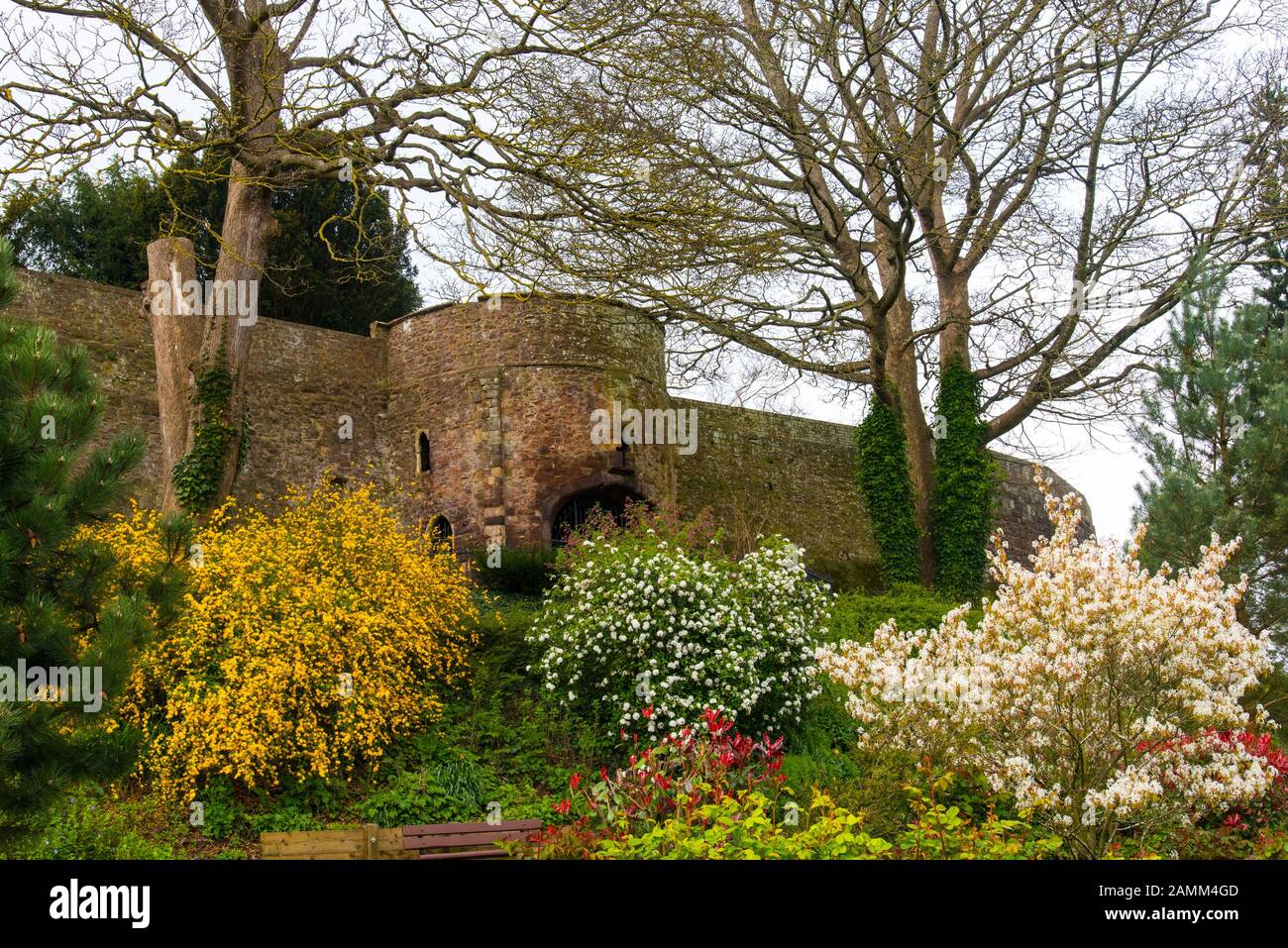 John's Tower an der Stadtmauer, Exeter, Devon, Großbritannien. Von Rougemont Gardens aus gesehen. Stockfoto