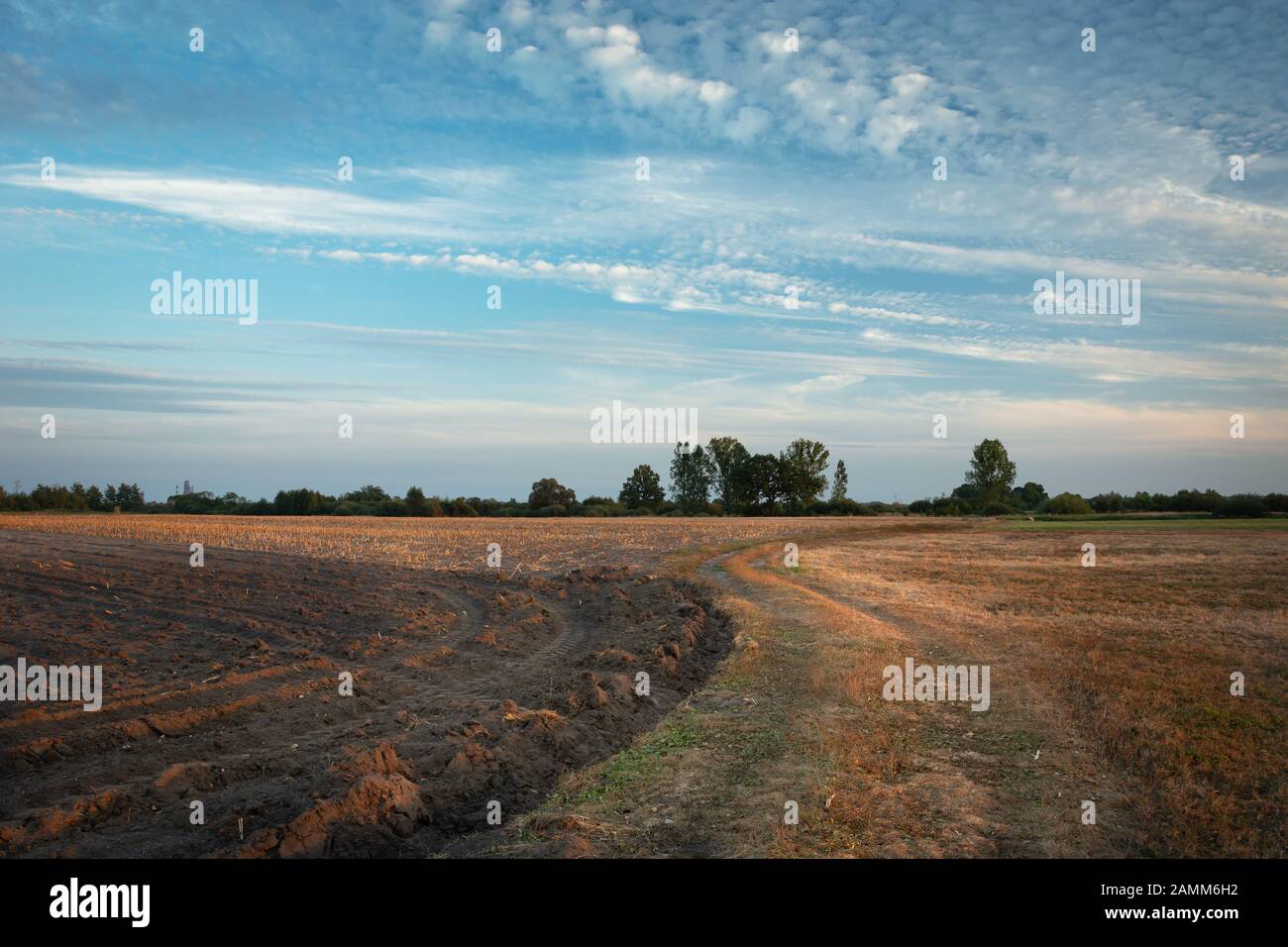 Bodenstraße neben einem gepflügten Feld, Wolken am Abendhimmel Stockfoto