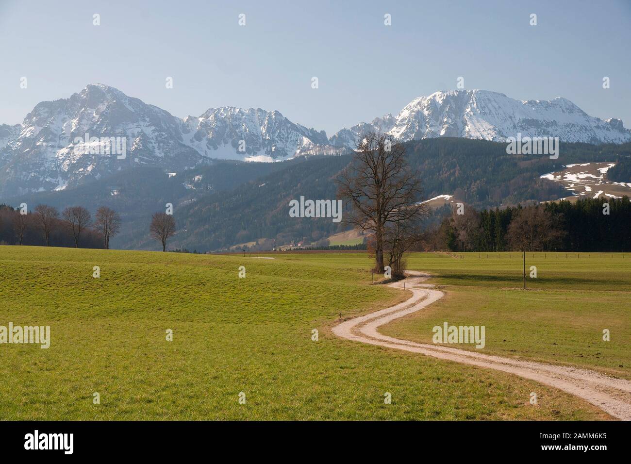 Blick von Steinhoegl in der Gemeinde Anger auf den Hochstaufen, ein Weg schlängelt sich im Frühjahr schön durch die Wiesen, Berchtesgadener Land, Bayern [automatisierte Übersetzung] Stockfoto