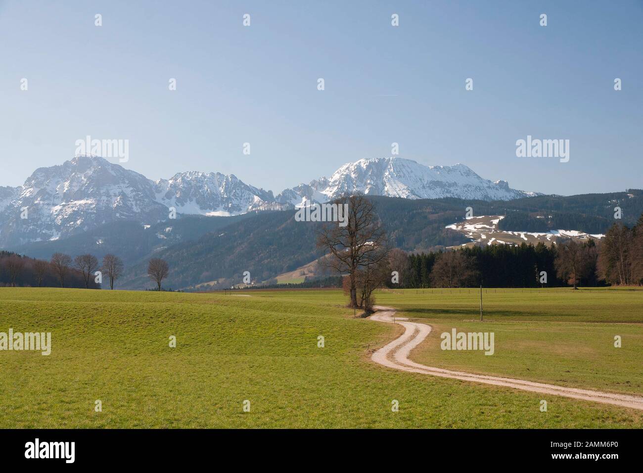 Blick von Steinhoegl in der Gemeinde Anger auf den Hochstaufen, ein Weg schlängelt sich im Frühjahr schön durch die Wiesen, Berchtesgadener Land, Bayern [automatisierte Übersetzung] Stockfoto