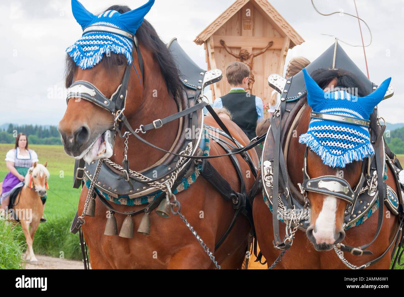 Der traditionelle Leonhardiritt in Holzhausen - Teisendorf - Festwagen 'das Wegkreuz', Oberbayern, die Fahrt ist erstmals 1612 dokumentiert, die schön gekleideten Pferde gesegnet, Deutschland [automatisierte Übersetzung] Stockfoto