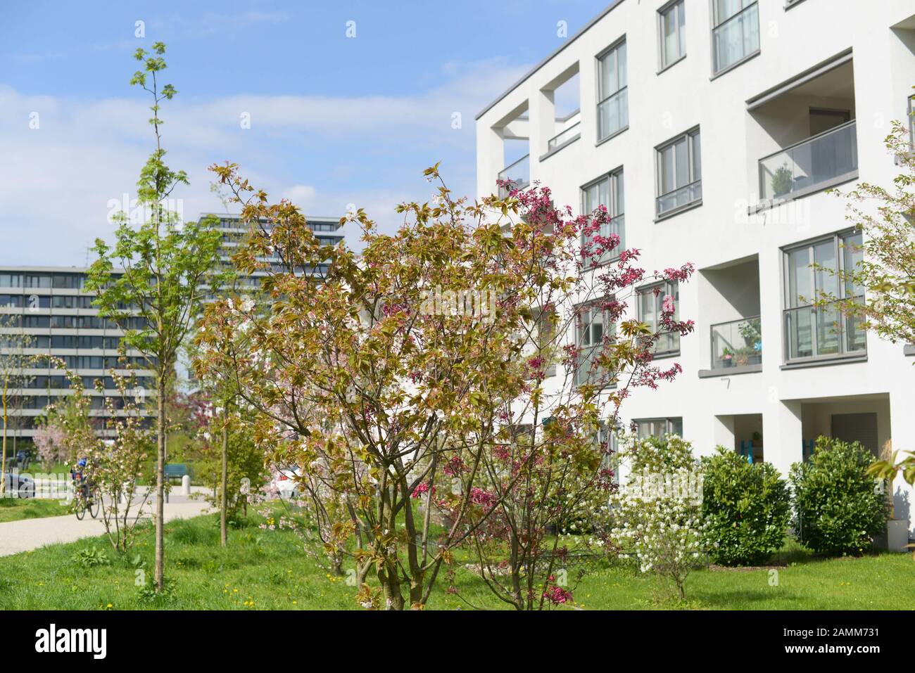 Grünfläche im Stadtquartier Mildred - Scheel - Bogen in den Wohneinheiten im Norden Schwabings. [Automatisierte Übersetzung] Stockfoto