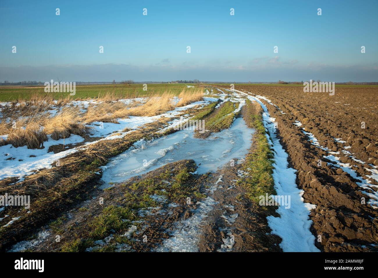 Schlammige, zugefrorene Landstraße durch Felder, Horizont und Himmel Stockfoto