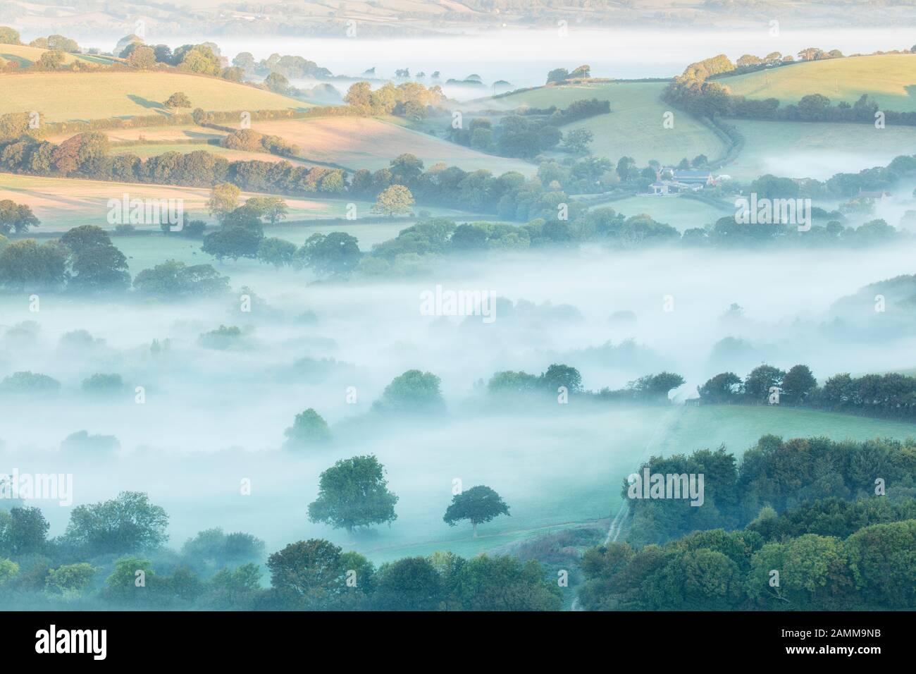 Nebelige Morgendämmerung in der Nähe von Chideock, Dorset, England, Großbritannien Stockfoto
