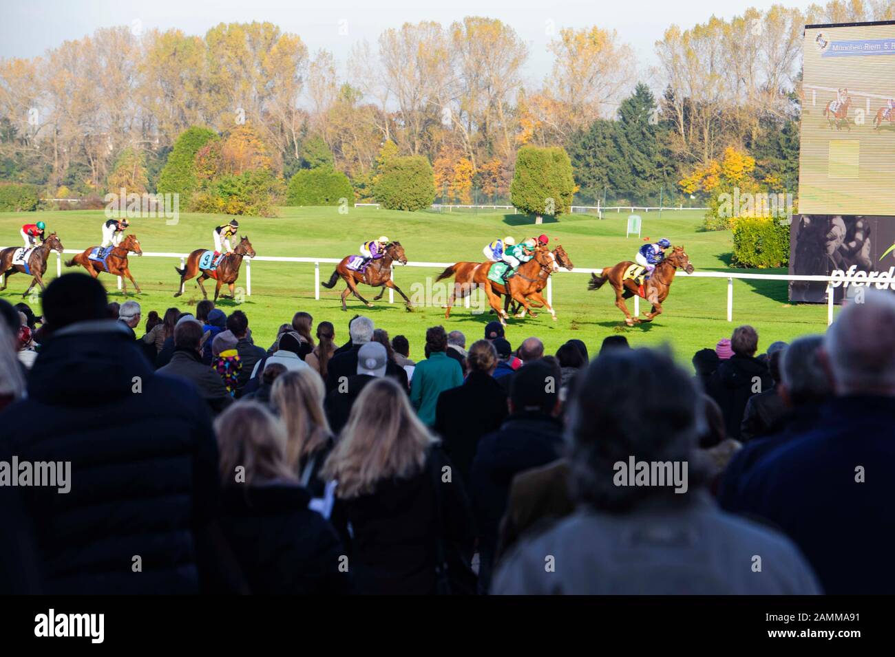 Ende der Saison "großer Preis von Bayern" auf der Rennbahn Riem: Im Bild das Hauptrennen mit Sieger Michael Cadeddu auf Guignol vom Stall Ullmann. [Automatisierte Übersetzung] Stockfoto