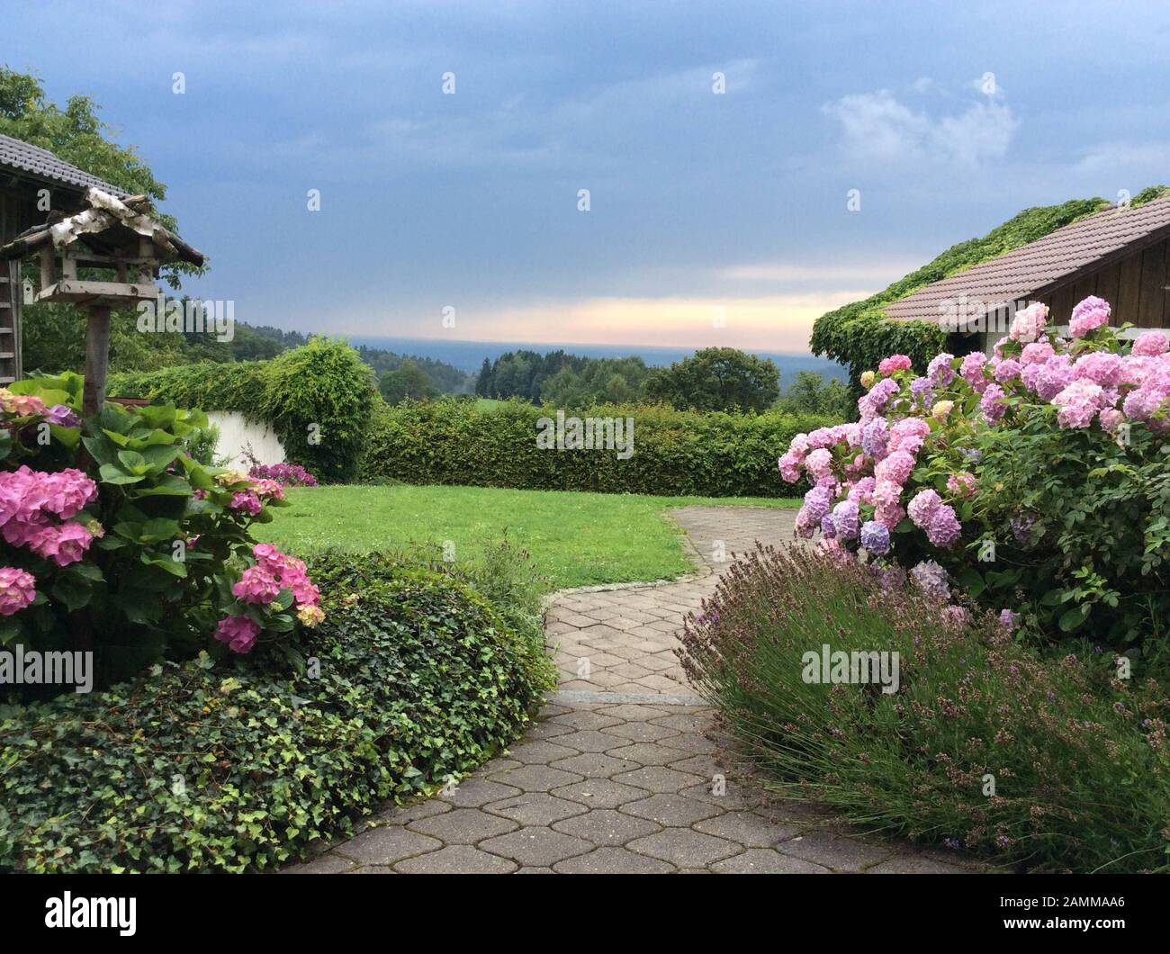 Blick in den Garten mit Hortensien. Altes Bauernhaus im Landkreis Deggendorff, Niederbayern, Deutschland. [Automatisierte Übersetzung] Stockfoto