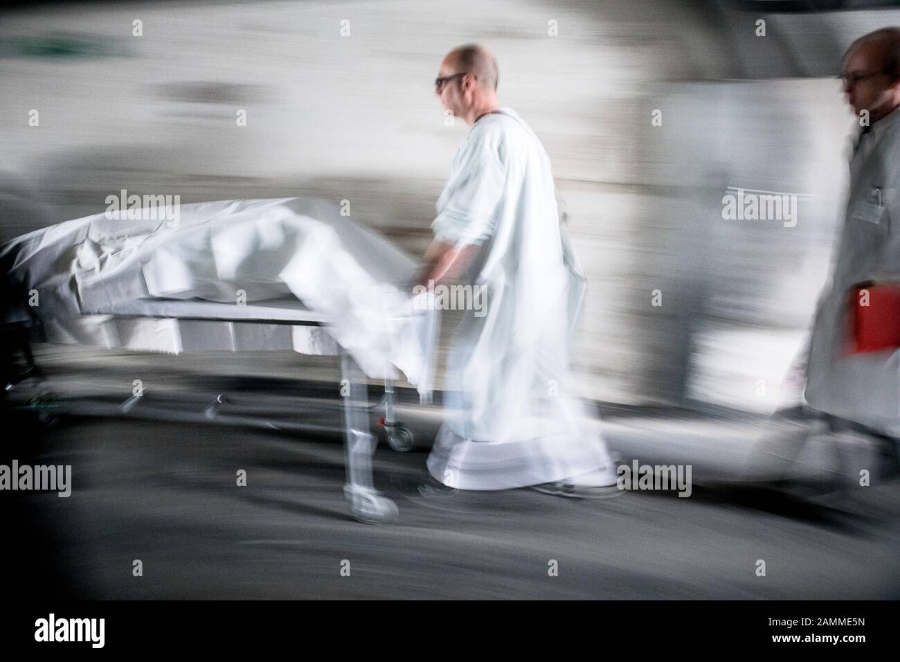 Ein mumifiziertes Schwein wird von der Pathologieabteilung zum Computertomographen an der Klinik Schwebing in München gebracht. [Automatisierte Übersetzung] Stockfoto