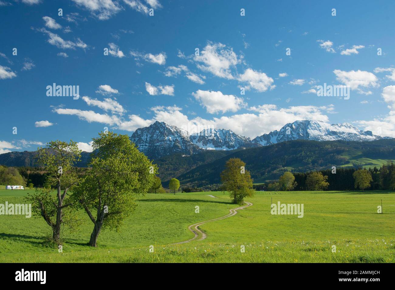 Blick von Steinhoegl in der Gemeinde Anger auf den Hochstaufen, ein Weg schlängelt sich schön durch Wiesen, Berchtesgadener Land, Bayern [automatisierte Übersetzung] Stockfoto