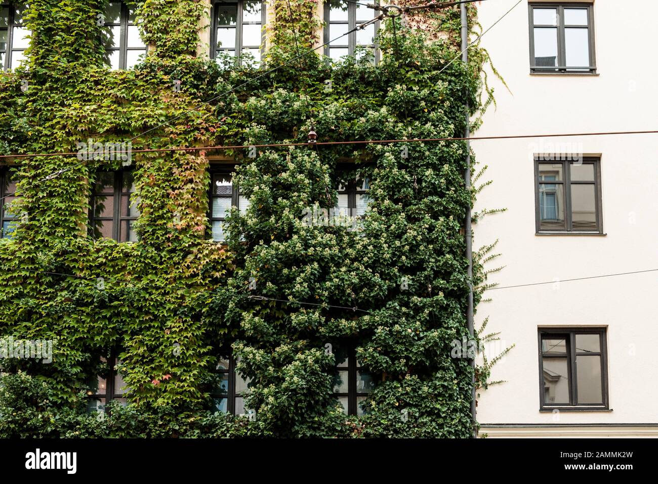 Impressionen aus München-Haidhausen. Der Bezirk gehört zum Wahlkreis München-Mitte, in dem die Grünen bei der letzten Landtagswahl 42,5 Prozent der Stimmen gewannen. Grünhaus façade an der Wiener Straße [automatisierte Übersetzung] Stockfoto