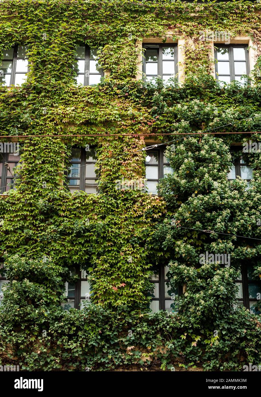 Impressionen aus München-Haidhausen. Der Bezirk gehört zum Wahlkreis München-Mitte, in dem die Grünen bei der letzten Landtagswahl 42,5 Prozent der Stimmen gewannen. Grünhaus façade an der Wiener Straße [automatisierte Übersetzung] Stockfoto