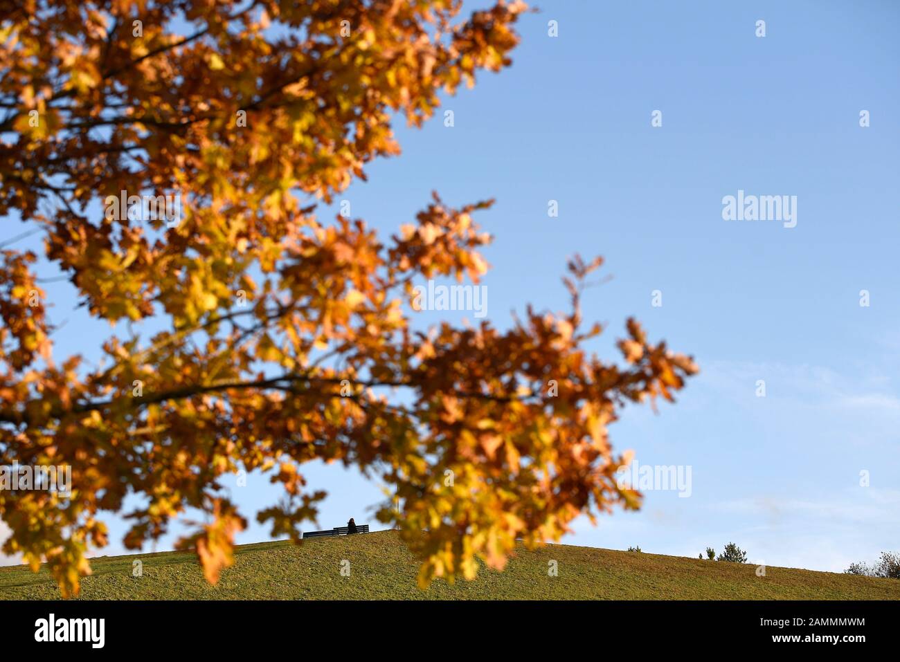 Herbststimmung im Riemer Park auf dem ehemaligen BUGA-Gelände. [Automatisierte Übersetzung] Stockfoto