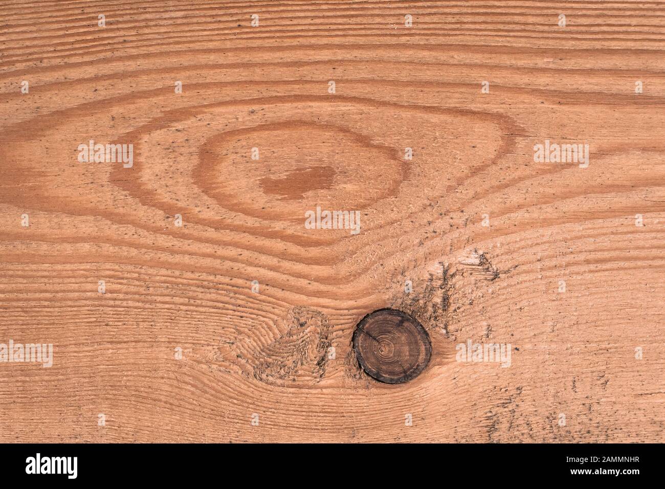 Baumknoten auf dem Holzbrett. Rustikales Holz, natürliches Muster. Hartholzoberfläche, raues Holzblech Stockfoto