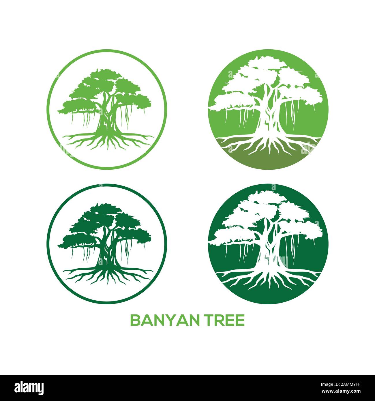 Baumvektorillustrationen, Wurzeln, MANGROVENBAUMVEKTOR isoliert. Banyan Logo Konzept für Ihr Unternehmen Stock Vektor
