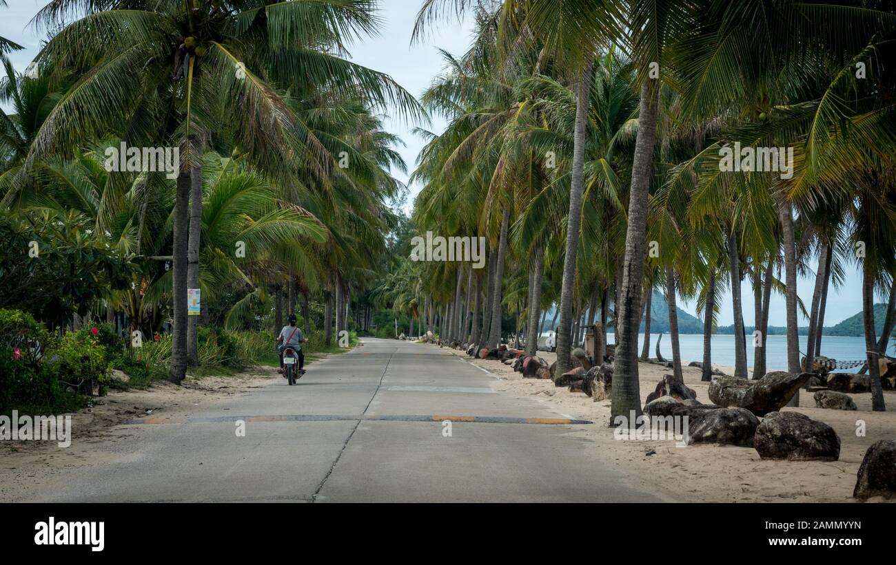 Motorradfahrer, die mit dem Motorrad am Palmenrand in Ben Krut Thailand fahren Stockfoto