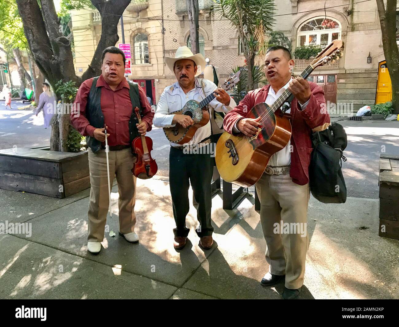 Straße Mariachi, Mexiko-Stadt, Mexiko Stockfoto