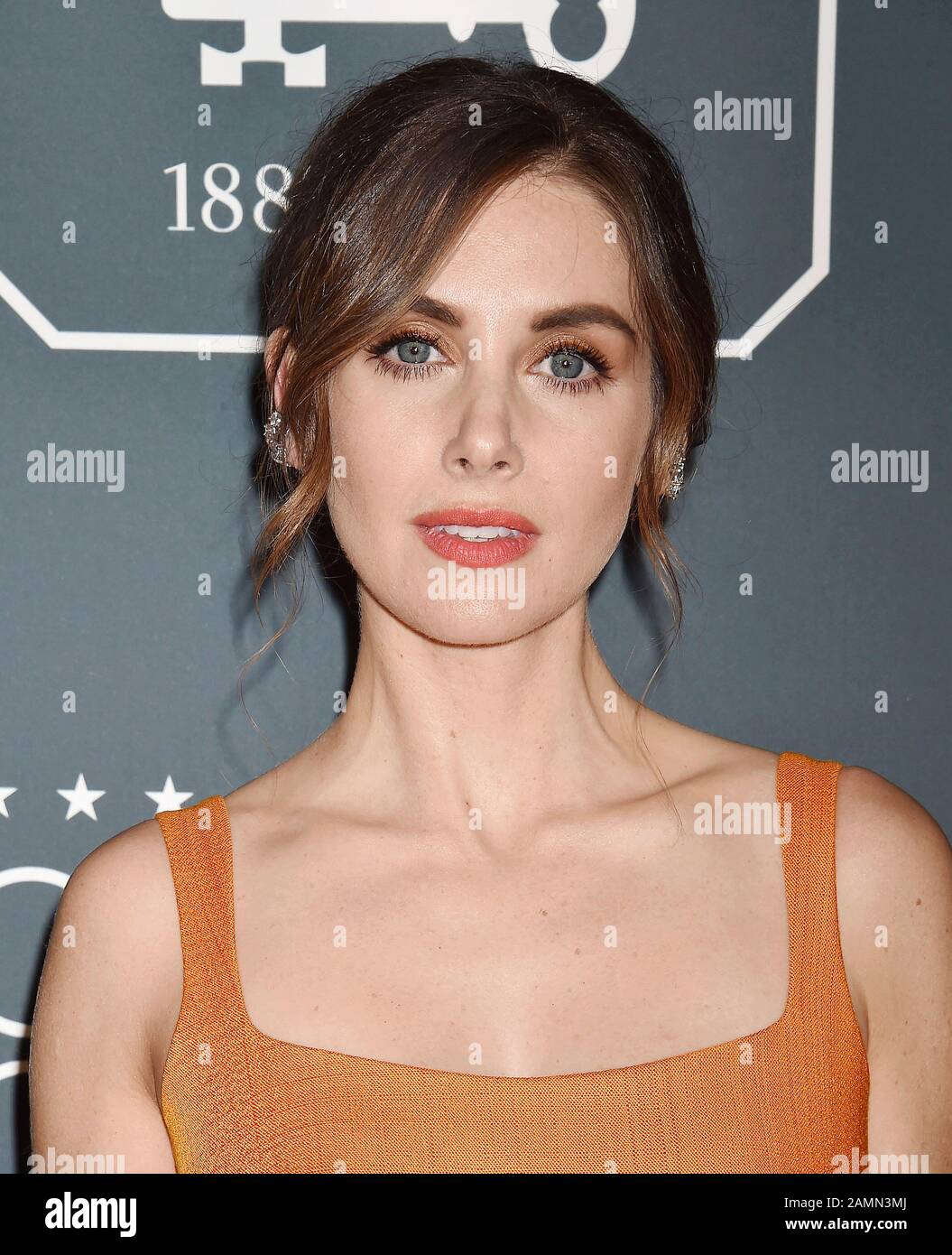 Santa MONICA, CA - 12. JANUAR: Alison Brie nimmt am 12. Januar 2020 in Santa Monica, Kalifornien, an den 25th Annual Critics' Choice Awards im Barker Hangar. Stockfoto