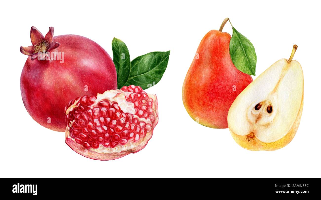 Granatapfel Birnfrüchte Aquarell isoliert auf weißem Hintergrund Stockfoto