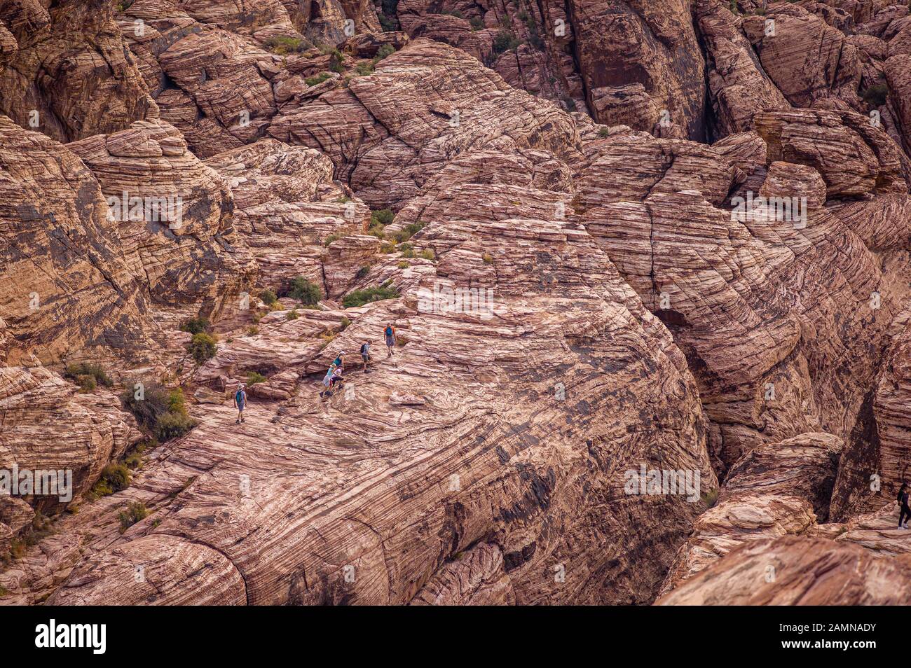 Red Rock Canyon National Conservation Area in Nevada, in der Nähe von Las Vegas, wo Sie Fahrradtouren und Klettern machen. Stockfoto