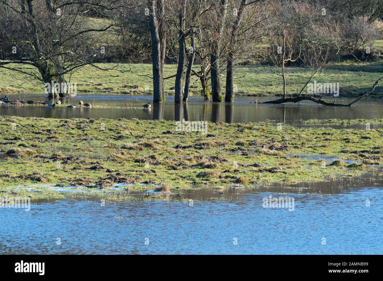 Fluss Nybroån im berühmten Fluss Fyledalen, Scania Schweden Stockfoto