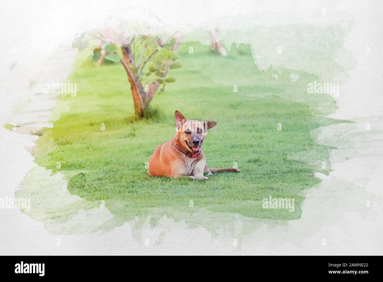 Wasserfarbe gemalt von Entspannendem Lächeln Hund mit rotem Kragen lag auf dem Gras auf dem Feld. Stockfoto