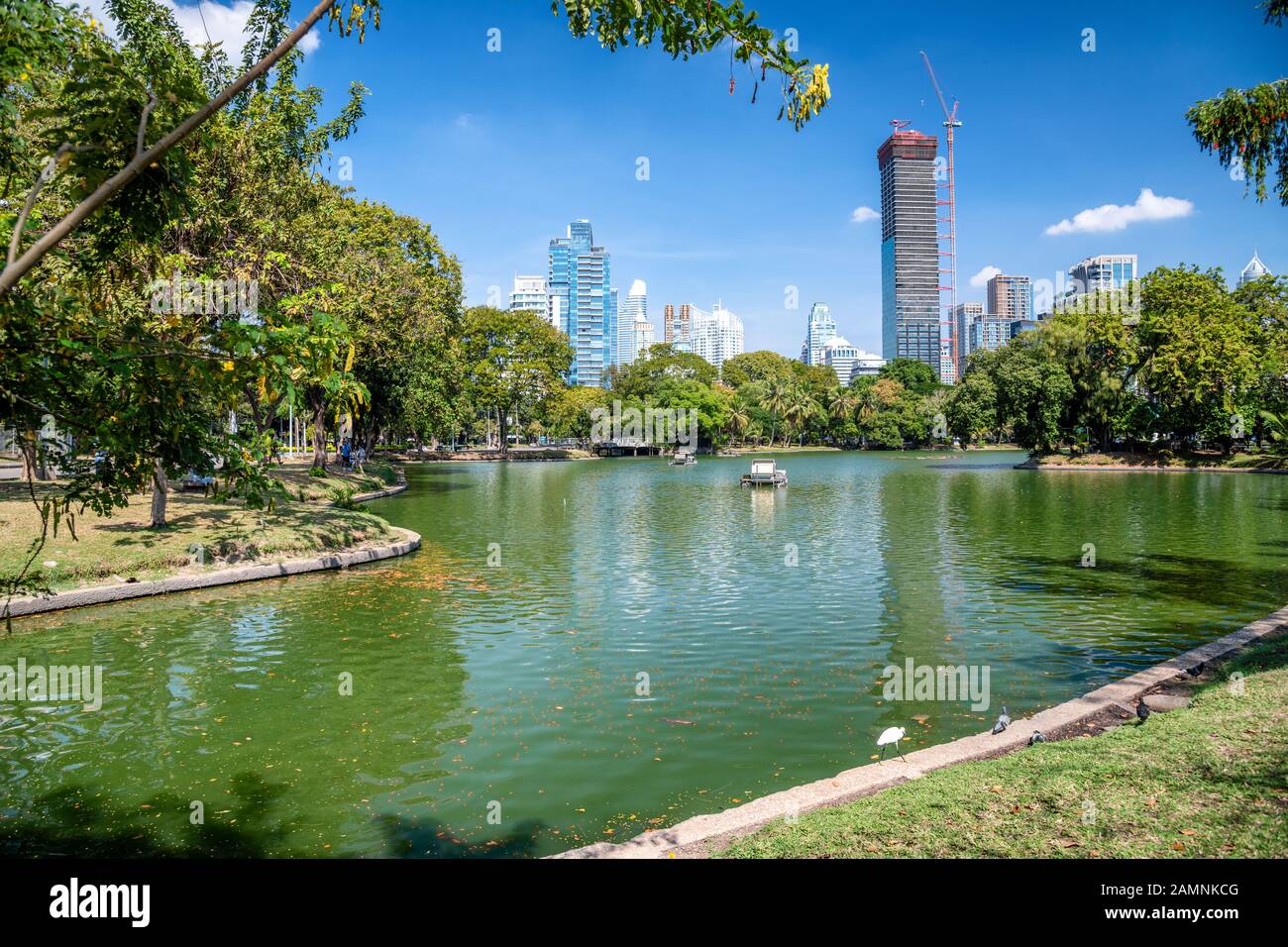 See, Bäume und Stadtbauten aus dem Lumphini Park in Bangkok. Stockfoto