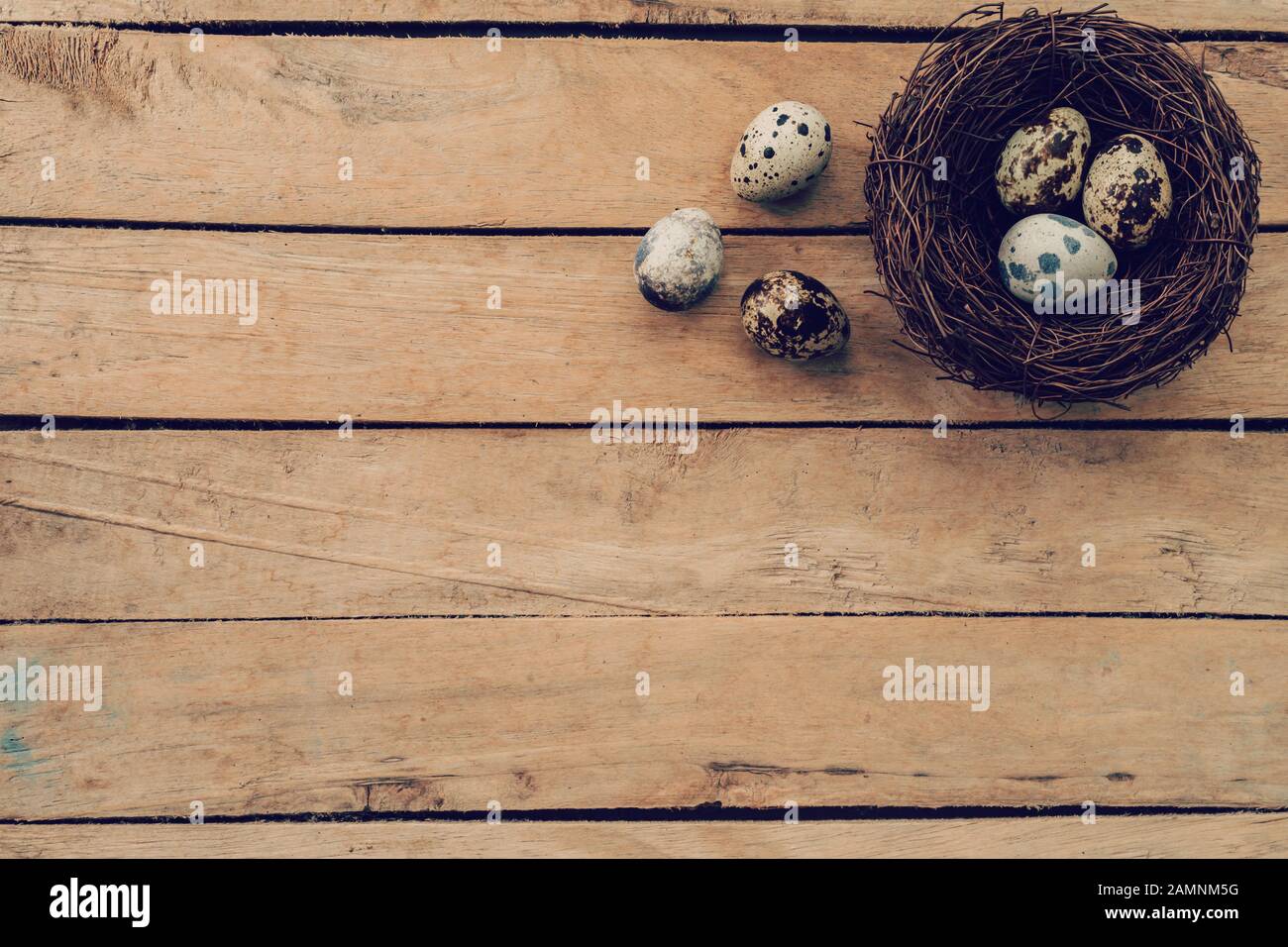 Eier ostern und nisten auf Holztisch und Hintergrund mit Kopierraum Stockfoto