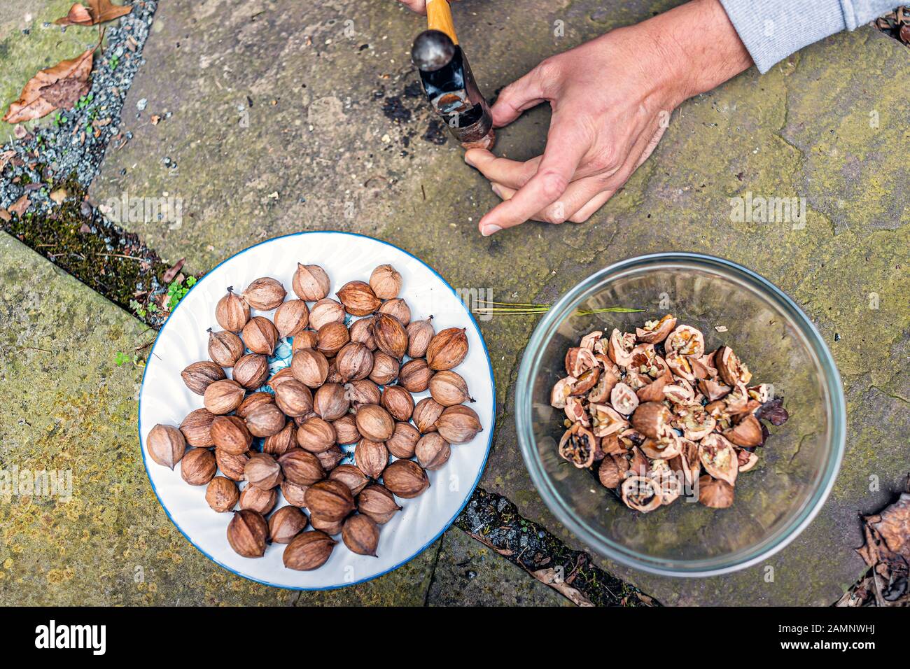 Flache Draufsicht auf den Haufen gerissener roher Pekannuss Pfahlzutat, der im Herbst auf Platte in Schalen und Händen auf Platte geschmiert wird, wobei er mit ha zerbrach Stockfoto