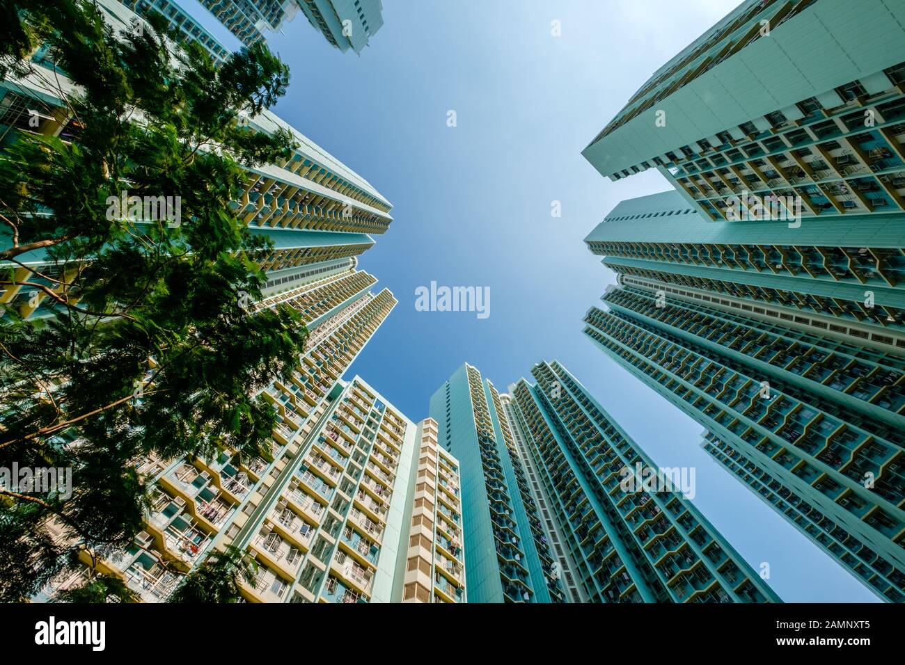 Blick auf Hochhaus, Wohnhausfassade, hongkong Stockfoto