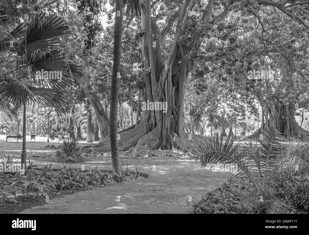 Cordoba - Der Park Jardines de la Agricultura. Stockfoto