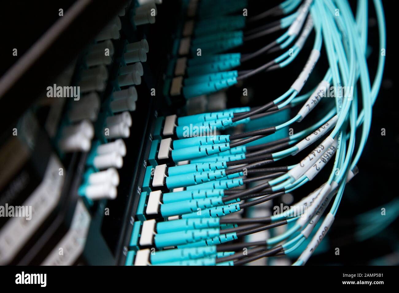 Nahaufnahme von router Kabel in einem Rechenzentrum. Stockfoto