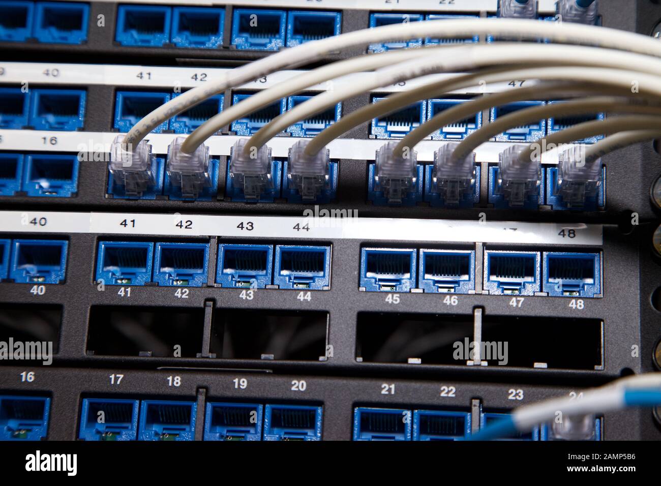 Nahaufnahme von router Kabel in einem Rechenzentrum. Stockfoto