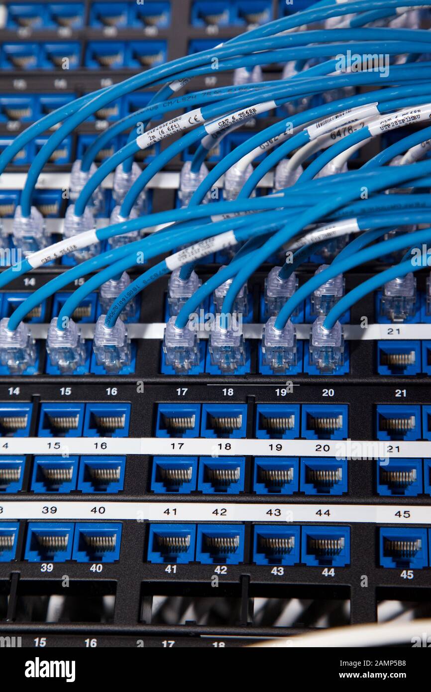 Nahaufnahme von router Kabel in einem Rechenzentrum. Stockfoto