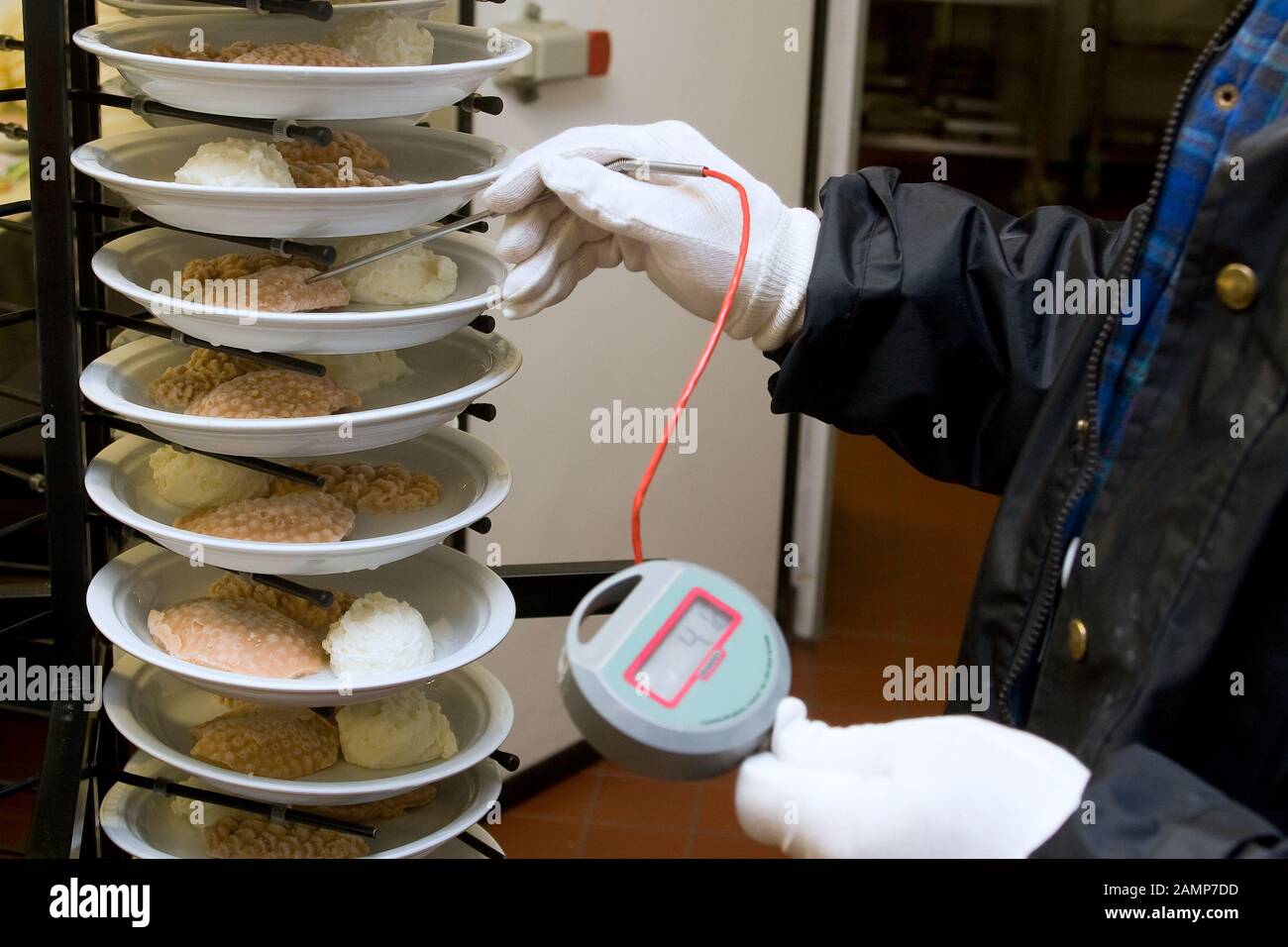 Lebensmittelsicherheit Inspektor Messung der Temperatur des gekochten Mahlzeiten mit einer Sonde Thermometer. Stockfoto